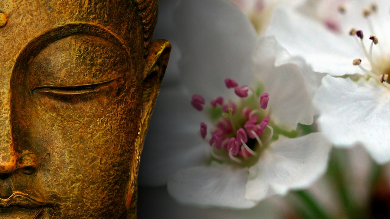 buddha-wallpapers-photos-pictures-zen-flowers